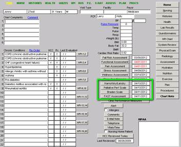 Hospice Chart Audit Tool Template